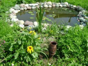 красота вокруг дома