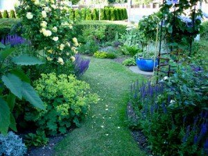 газоны и лужайки