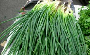 лук зеленый из под снегоа